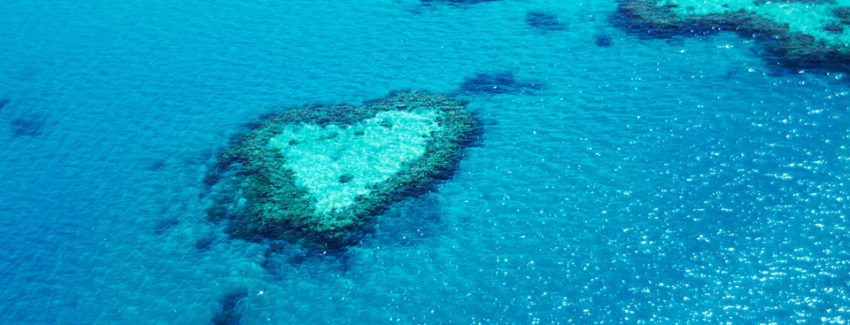 heart reef_AZ