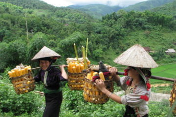 sapa ethnic markets